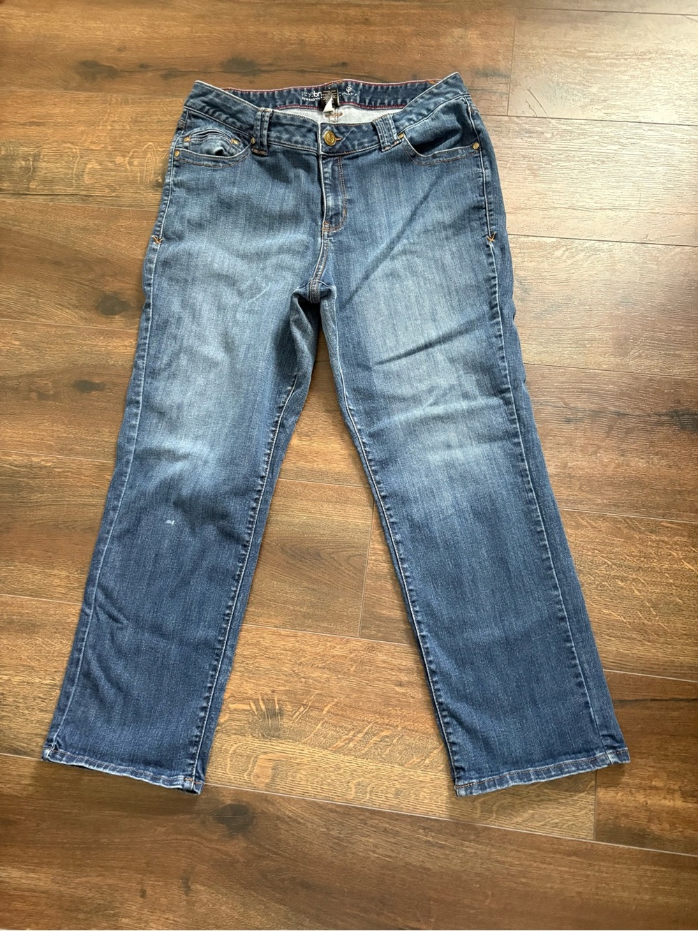 Lane Bryant Blue Straight-Leg Jeans 16 Petite